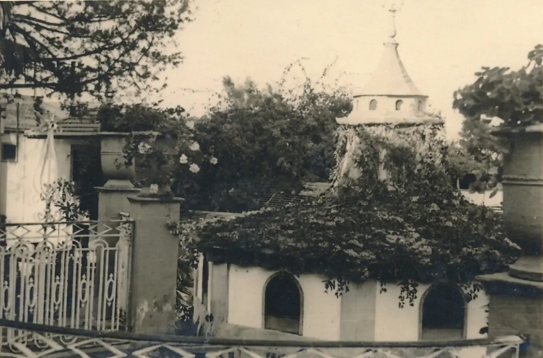 Charca de los patos - La Alameda.